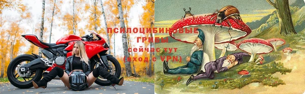 сатива Волосово